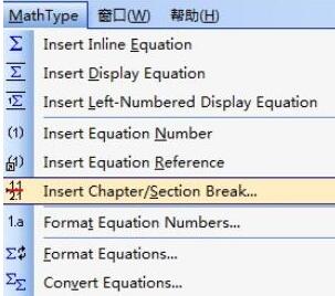 关于MathType公式编号不从1开始的编辑方法