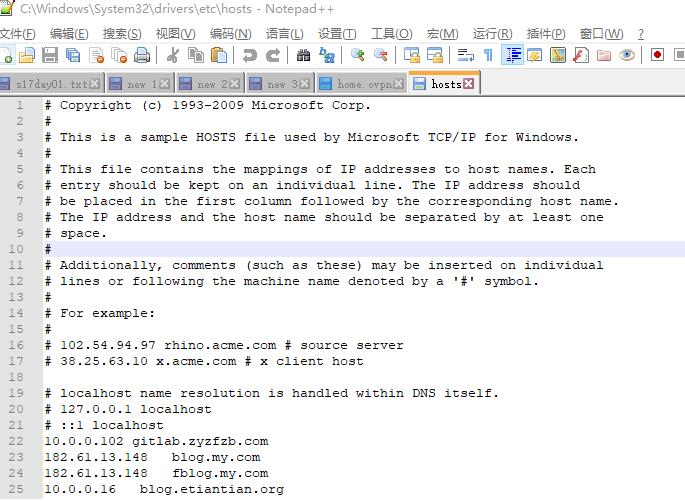 notepad设置菜单按钮样式的操作流程截图
