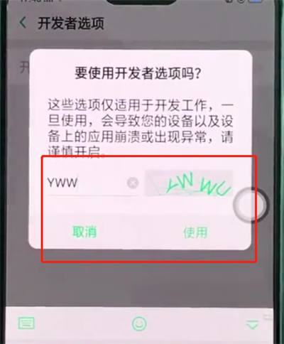 关于oppor15中开启开发者选项的详细步骤。