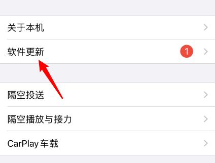 关于苹果手机怎么升级ios14正式版。