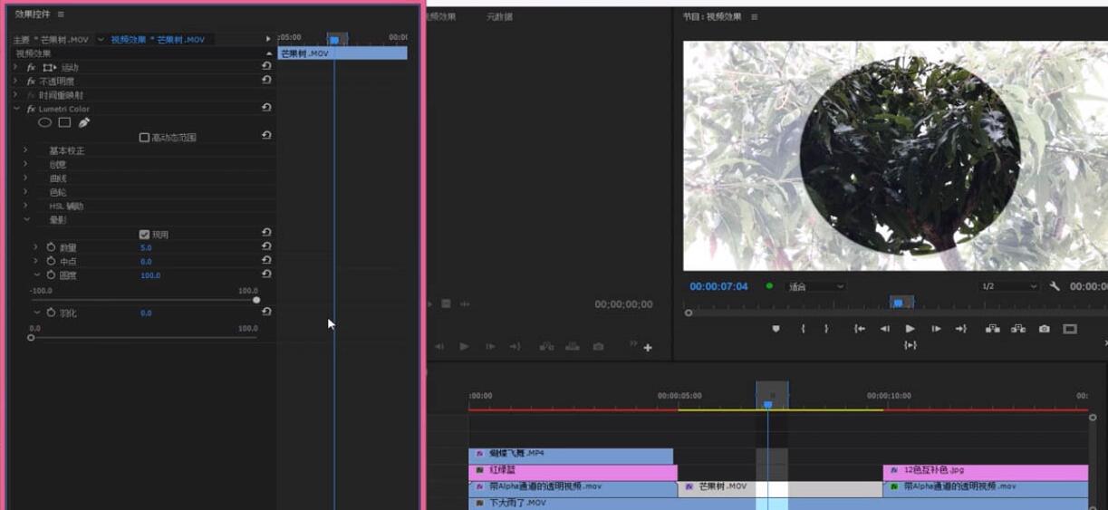 关于premiere制作镜头晕影效果的图文操作内容