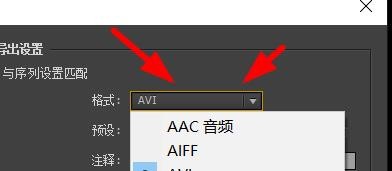 关于premiere素材导出到一定百分比卡住的处理方法