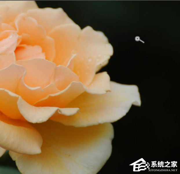 关于Photoshop中怎么使用抓手工具