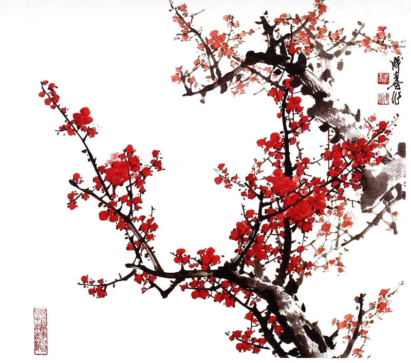 关于PS如何使用通道抠梅花