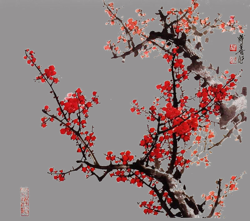 关于PS如何使用通道抠梅花