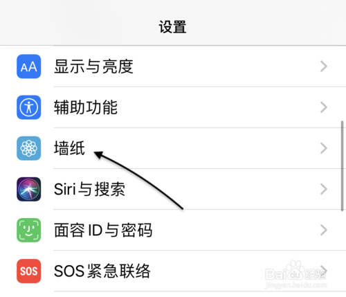 关于苹果11壁纸如何设置。