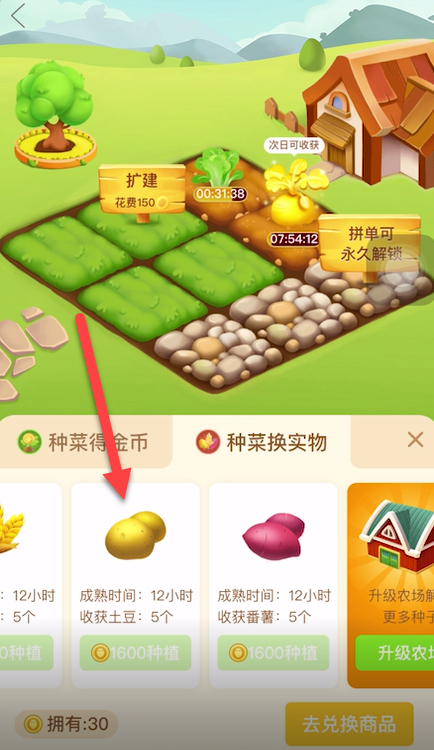 关于拼多多农场怎么种植土豆。