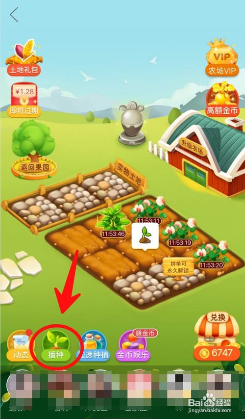 关于拼多多怎么种菜换实物。