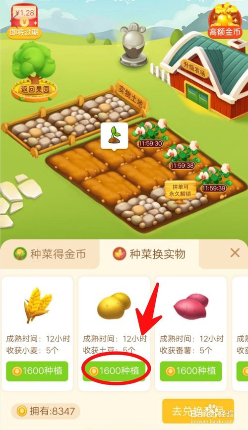 关于拼多多怎么种菜换实物。