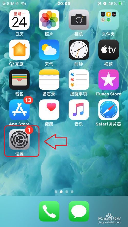 关于苹果手机的缩放功能如何设置。