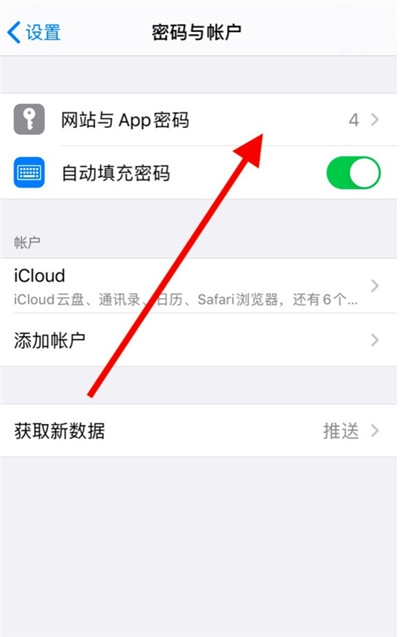 关于苹果手机查看网站与app密码方法介绍。