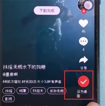 关于荣耀10中设置动态壁纸的简单方法。