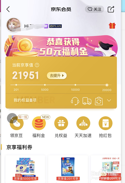 关于如何看自己京东plus的消费星级。