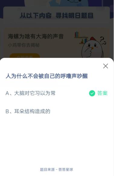 关于人为什么不会被自己的呼噜声吵醒。