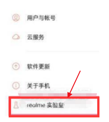 关于realme真我GT大师版在哪里打开DC调光功能。