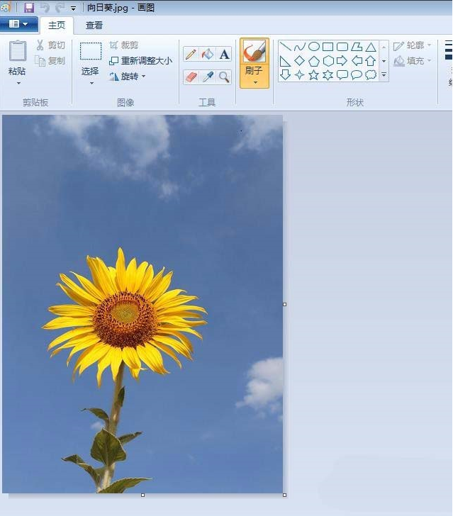 关于如何用画图工具制作圆形的头像