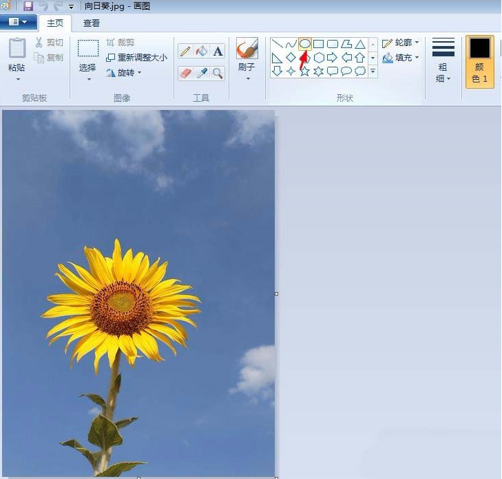 关于如何用画图工具制作圆形的头像