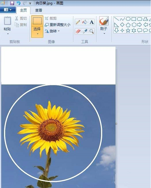关于如何用画图工具制作圆形的头像