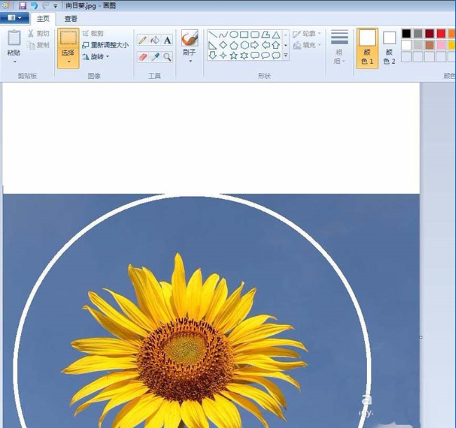 关于如何用画图工具制作圆形的头像