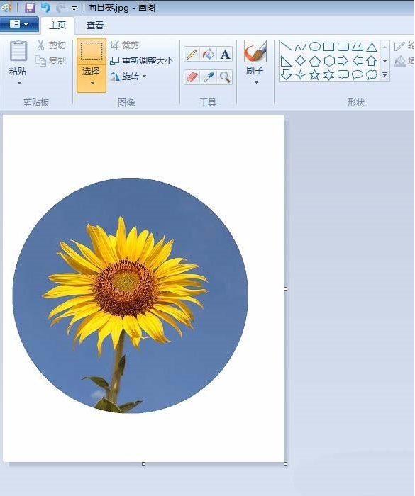 关于如何用画图工具制作圆形的头像