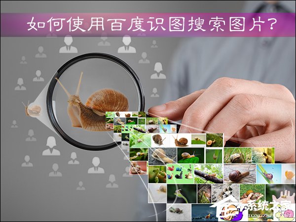 如何使用百度识图搜索图片?百度识图怎么用?