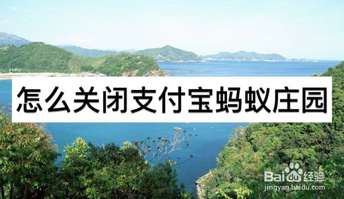 关于如何关闭支付宝蚂蚁庄园。