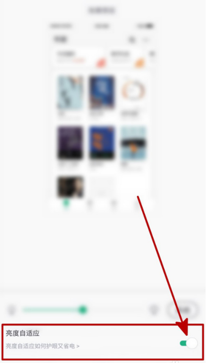 关于书旗小说在什么地方设置亮度自适应。