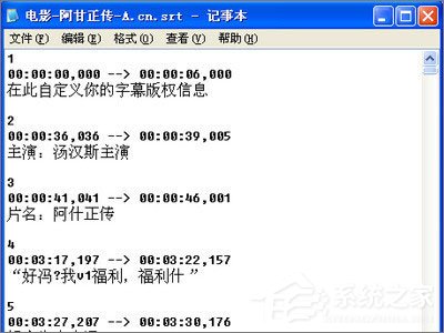 关于srt是什么文件