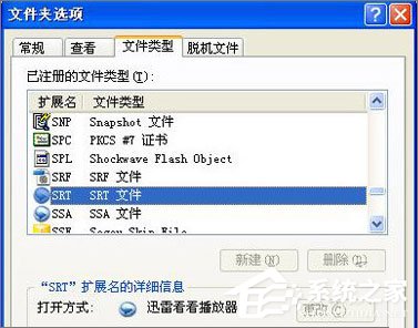 关于srt是什么文件