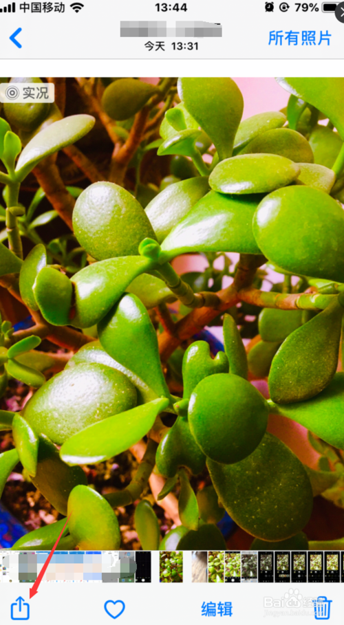 关于手机如何把相机图片用作墙纸。