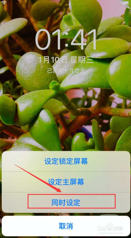 关于手机如何把相机图片用作墙纸。