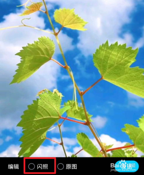 关于手机QQ如何发送闪图。