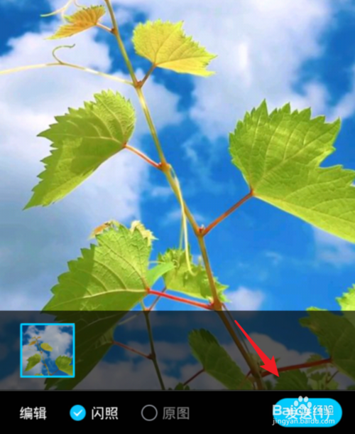 关于手机QQ如何发送闪图。