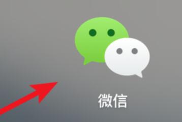 关于微信mac查看群公告的步骤 Mac微信怎么引用