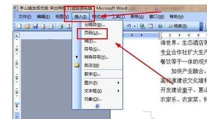 关于word2003中将第二页设置为第一页的操作步骤 关于word的图片