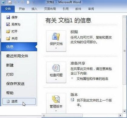 关于word2010文档里使用键入时检查拼写功能的详细方法