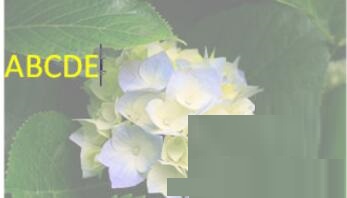关于word2010设置背景图片的简单教程