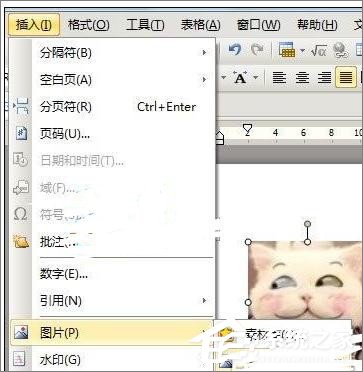 关于WPS文字怎么制作自定义模板（wps如何制作自定义表格）