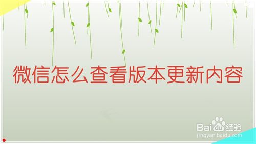 关于微信如何查看版本更新内容。