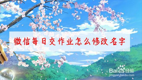关于微信每日交作业在哪设置名字。