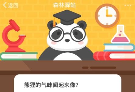 熊狸的气味闻起来像？微博森林驿站11月10日今日答题答案