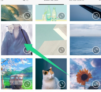 关于醒图怎样添加竖排文字。