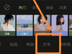 关于醒图怎样添加竖排文字。