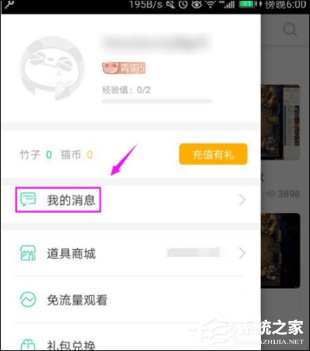 关于熊猫直播怎么关闭私聊功能