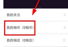 关于喜柚直播中充值柚币的具体步骤。