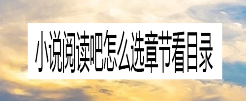 关于小说阅读吧如何选章节看目录。