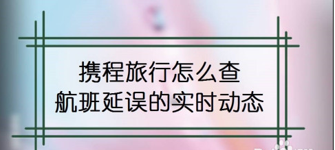 1601525398337131.png 关于携程旅行怎么查看航班延误信息。