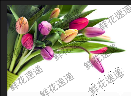 关于用PS完美去除图片上的连续水印