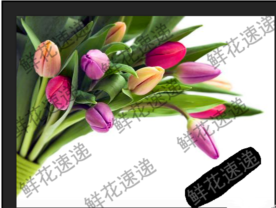 关于用PS完美去除图片上的连续水印