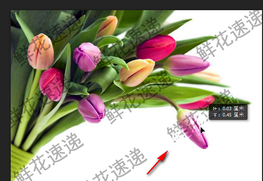 关于用PS完美去除图片上的连续水印